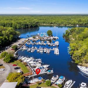 Drone / aerial view with a wooded view and a water