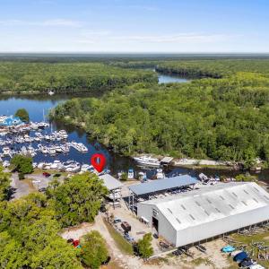 Drone / aerial view featuring a view of trees and