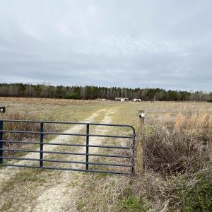 Gate with a view of countryside
