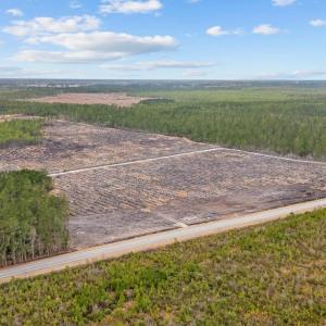 Photo #14 of 5620 Joyner Swamp Rd., Galivants Ferry, SC 1.2 acres