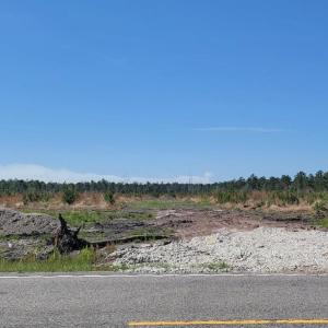 Photo #1 of 5590 Joyner Swamp Rd., Galivants Ferry, SC 1.3 acres