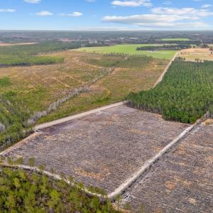 Photo #11 of 5590 Joyner Swamp Rd., Galivants Ferry, SC 1.3 acres