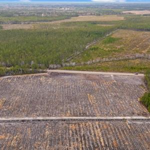Photo #11 of 5580 Joyner Swamp Rd., Galivants Ferry, SC 1.4 acres