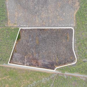 Photo #18 of 5560 Joyner Swamp Rd., Galivants Ferry, SC 1.7 acres