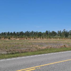 Photo #1 of 5570 Joyner Swamp Rd., Galivants Ferry, SC 1.4 acres