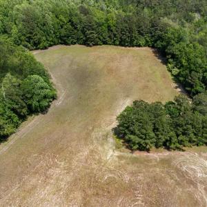 Bird's eye view with a water view and a wooded vie