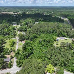 Bird's eye view with a forest view