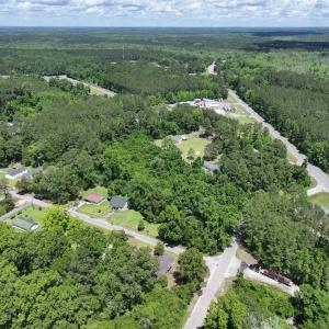 Aerial view with a forest view