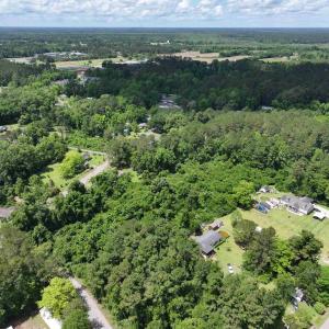 Bird's eye view featuring a view of trees