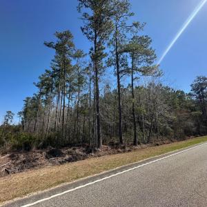 Photo #5 of TBD Joyner Swamp Rd., Galivants Ferry, SC 3.0 acres