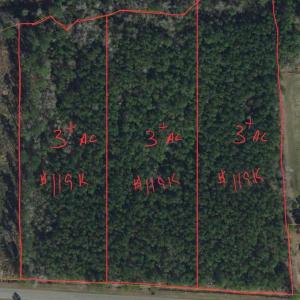 Photo #1 of TBD Joyner Swamp Rd., Galivants Ferry, SC 3.0 acres