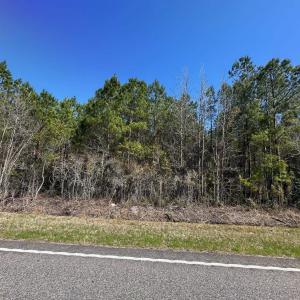 Photo #3 of TBD Joyner Swamp Rd., Galivants Ferry, SC 3.0 acres