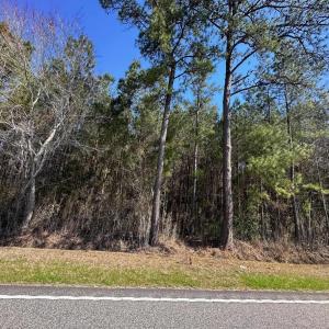 Photo #4 of TBD Joyner Swamp Rd., Galivants Ferry, SC 3.0 acres