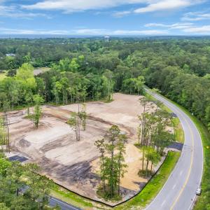 Aerial view with a forest view