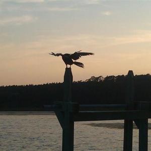 Photo #23 of Lot 17 Golden Bear Dr., Pawleys Island, SC 0.5 acres