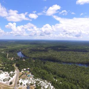 Drone / aerial view of a forest and a nearby body