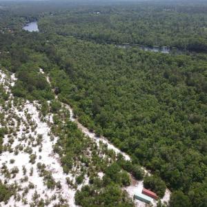 Drone / aerial view of a heavily wooded area and a