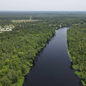 Bird's eye view of a heavily wooded area and a nea