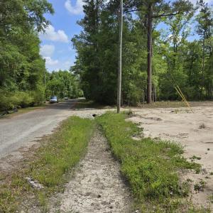 View of asphalt street with a view of trees