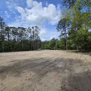 View of dirt / gravel road with a wooded view