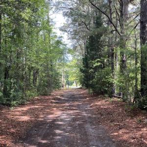Photo #2 of TBD Highway 90, Longs, SC 1.1 acres