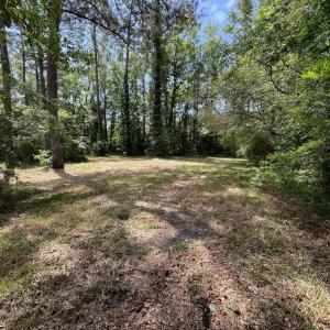 Photo #3 of TBD Highway 90, Longs, SC 1.1 acres