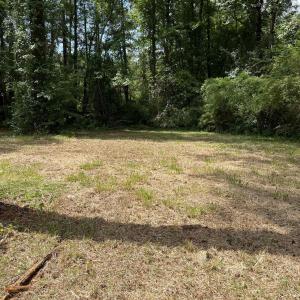 Photo #4 of TBD Highway 90, Longs, SC 1.1 acres