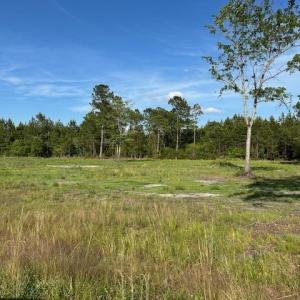 Photo #10 of 114 Belland Ct., Loris, SC 1.3 acres