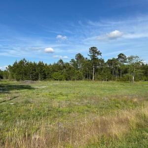 Photo #8 of 114 Belland Ct., Loris, SC 1.3 acres
