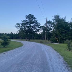 Photo #3 of 114 Belland Ct., Loris, SC 1.3 acres