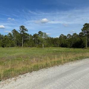 Photo #11 of 114 Belland Ct., Loris, SC 1.3 acres