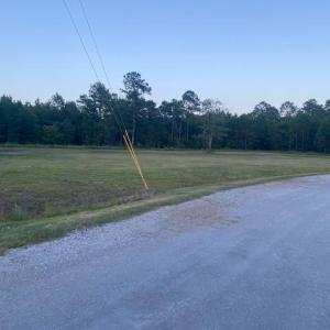 Photo #4 of 114 Belland Ct., Loris, SC 1.3 acres