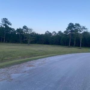 Photo #2 of 114 Belland Ct., Loris, SC 1.3 acres