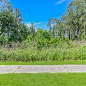 View of grassy yard