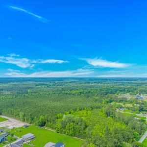 Bird's eye view of a forest
