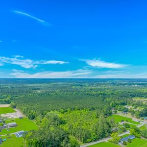 Bird's eye view of a forest