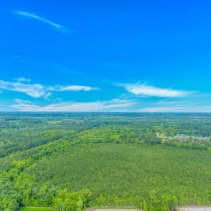 Bird's eye view of a forest