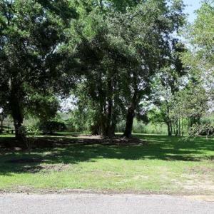 View of grassy yard featuring a storage unit and a