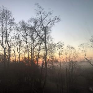 View of nature at dusk