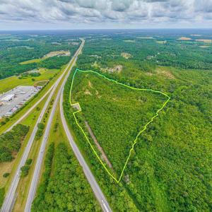 Drone / aerial view of a heavily wooded area
