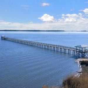 Photo #25 of 302 Chaff Ct., Georgetown, SC 0.2 acres