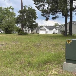 Photo #10 of 302 Chaff Ct., Georgetown, SC 0.2 acres