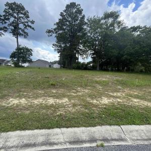 Photo #4 of 302 Chaff Ct., Georgetown, SC 0.2 acres