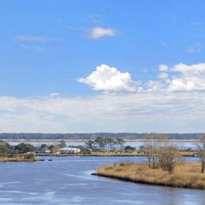 Photo #26 of 302 Chaff Ct., Georgetown, SC 0.2 acres