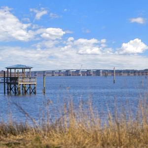 Photo #19 of 302 Chaff Ct., Georgetown, SC 0.2 acres