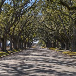 Photo #39 of 302 Chaff Ct., Georgetown, SC 0.2 acres