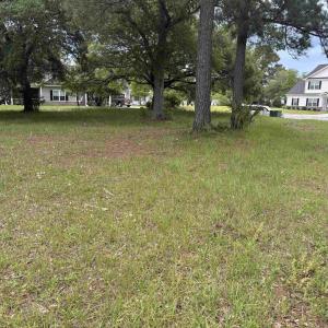 Photo #6 of 302 Chaff Ct., Georgetown, SC 0.2 acres