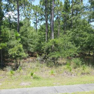 View of undeveloped land