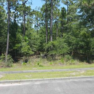 View of asphalt street featuring sidewalks and cur