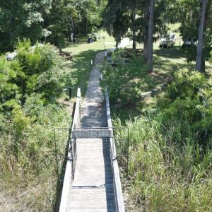 Drone / aerial view of a tree filled landscape
